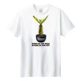 ホワイト | Moftique(モフティック) 半袖Tシャツ パキポディウム | printrium