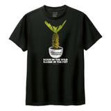 ブラック | Moftique(モフティック) 半袖Tシャツ パキポディウム | printrium