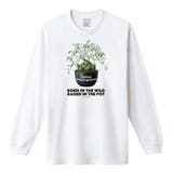 ホワイト | Moftique(モフティック) 長袖Tシャツ アデニア | printrium