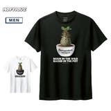 Moftique(モフティック) 半袖Tシャツ パキポディウム | printrium | 詳細画像1