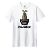 ホワイト | Moftique(モフティック) 半袖Tシャツ パキポディウム | printrium
