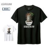 Moftique(モフティック) 半袖Tシャツ パキポディウム | printrium | 詳細画像1