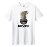 ホワイト | Moftique(モフティック) 半袖Tシャツ パキポディウム | printrium