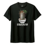 ブラック | Moftique(モフティック) 半袖Tシャツ パキポディウム | printrium