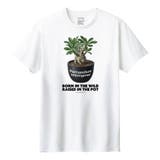 ホワイト | Moftique(モフティック) 半袖Tシャツ パキポディウム | printrium
