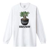 ホワイト | Moftique(モフティック) 長袖Tシャツ パキポディウム | printrium
