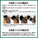 ジームード ミドル丈 5本指ソックス | PROVENCE | 詳細画像13 