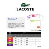 ラコステ ポロシャツ メンズ | PROVENCE | 詳細画像13 