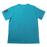 レイトンハウス 40周年記念 限定 | PROVENCE | 詳細画像5 