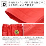 漁師 合羽 水産 | PROVENCE | 詳細画像5