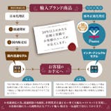ノースフェイス バッグ メンズ | PROVENCE | 詳細画像9