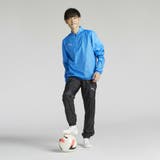 メンズ サッカー チームファイナル ピステ 長袖 ハーフジップ トップス | PUMA | 詳細画像3