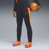 ウィメンズ サッカー INDIVIDUALBLAZE | PUMA | 詳細画像1 