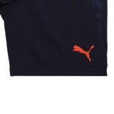 メンズ サッカー INDIVIDUALCUP トレーニング ショーツ | PUMA | 詳細画像5