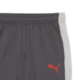 メンズ サッカー INDIVILIGA TR パンツ | PUMA | 詳細画像3 