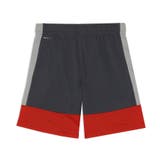 メンズ サッカー INDIVILIGA TR ショーツ | PUMA | 詳細画像2 