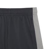 メンズ サッカー INDIVILIGA | PUMA | 詳細画像6 