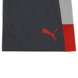 メンズ サッカー INDIVILIGA | PUMA | 詳細画像8 