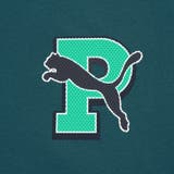 メンズ グラフィック ヴァーシティ 半袖 Tシャツ GRAPHIC Tee | PUMA | 詳細画像4 
