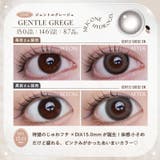 LARME ラルムシリコンハイドロゲルダブルモイストUV(1箱10枚入り) | QUEEN EYES | 詳細画像16
