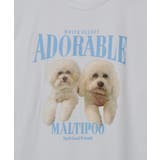 アニマルプリントTシャツ DOGプリント | ＆soiree | 詳細画像42 