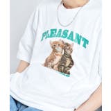 アニマルプリントTシャツ  CATプリント | ＆soiree | 詳細画像24 