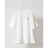 SUNNY SMITH 11 | MODISH GAZE | 詳細画像21 