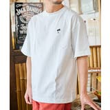 SUNNY SMITH 11 | MODISH GAZE | 詳細画像2 