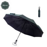 グリーン | ワンタッチ 折りたたみ傘 ラクラク開閉 | RAiseNsE