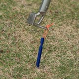 1本売り ペグ アウトドア | RAiseNsE  | 詳細画像20 