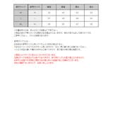 肩ボタン付き グラデーション ボーダー | RAiseNsE | 詳細画像29