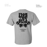 A-type ライトグレー | 感動 ストレッチ 半袖Tシャツ | RAiseNsE