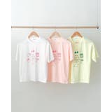ピンク | ドローイング風レタリングTシャツ パステルカラー 半袖 madeinkorea | RAKUku