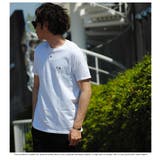 WHITE | ロゴTシャツ クラシックロゴ FRUIT | Re-AP