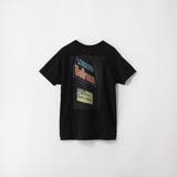 【リユース品】SHIPS | F | Tシャツ/カットソー | ReLIKE | 詳細画像2 