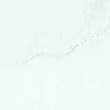 【リユース品】SHIPS | M | Tシャツ/カットソー | ReLIKE | 詳細画像12 