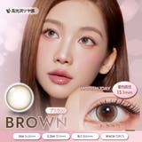 MODISH Brown | Olola 1day | richeye