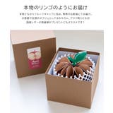 バトラーバーナーセイルズ ペンケース トコヌメ | Rocky Monroe | 詳細画像12 