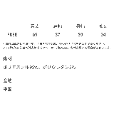 ラッシュガード 半袖 無地 | Rocky Monroe | 詳細画像32