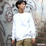 トレーナー GILDAN ギルダン | Rocky Monroe | 詳細画像1 