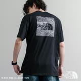 THENORTHFACE 半袖 グラフィックTシャツ | Rocky Monroe | 詳細画像1 
