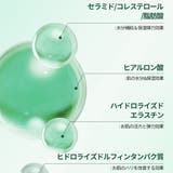 dr.Bio公式 緑米バイオーム弾力クリーム50g 韓国コスメ 韓国 | Dr.Bio | 詳細画像13 