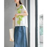 シトラスワイドＴ | rps | 詳細画像3 