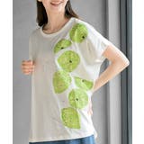 シトラスワイドＴ | rps | 詳細画像7 