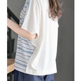抗菌防臭熱帯魚ボーダーワイドＴシャツ | rps | 詳細画像7 