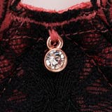 ブラジャー 大きいサイズ アペルトブラ（SP-557） | Ruiglamourous | 詳細画像9 