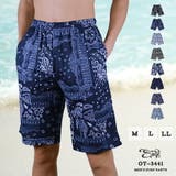 メンズ 水着 大人 | SAFS | 詳細画像1