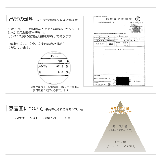 カシミヤ ケープ ラクーン | sankyo shokai | 詳細画像12