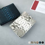 ダイヤモンドパイソン 名刺入れ レディース | sankyo shokai  | 詳細画像1 