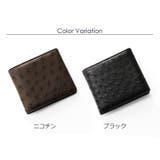 オーストリッチ 2つ折り財布 両カード | sankyo shokai  | 詳細画像2 
